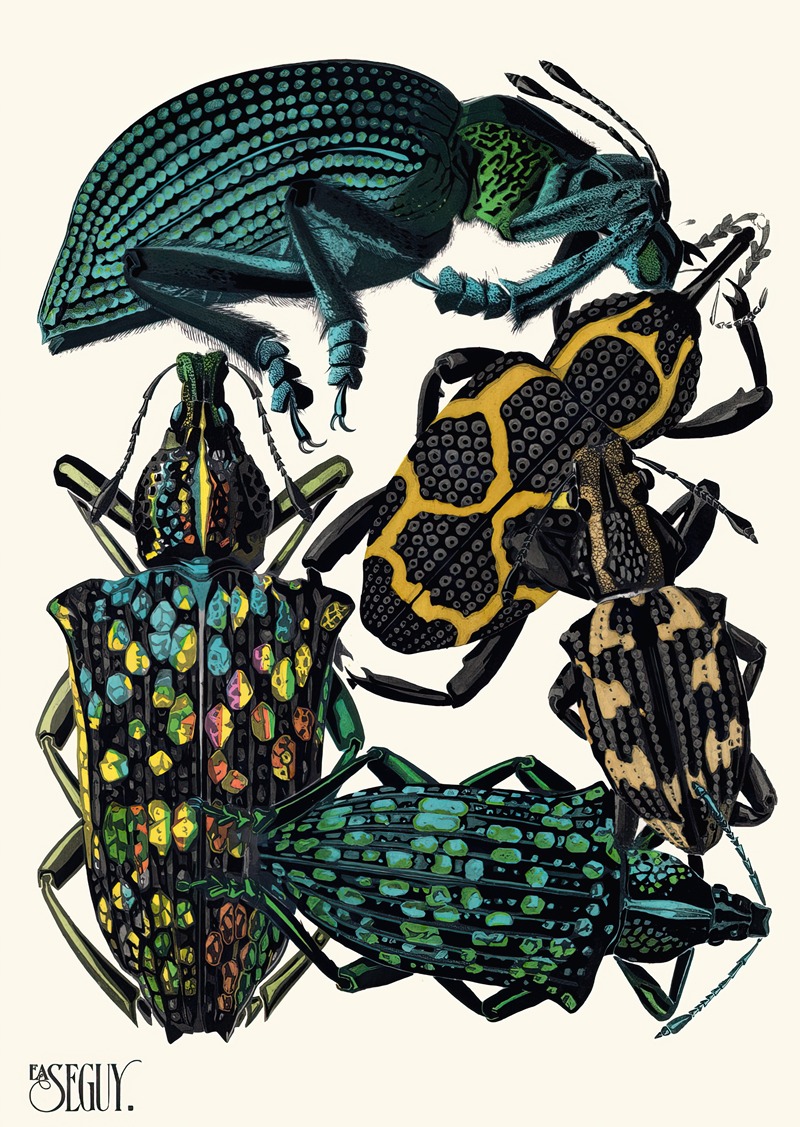 Emile-Allain Séguy - Insectes Pl.06
