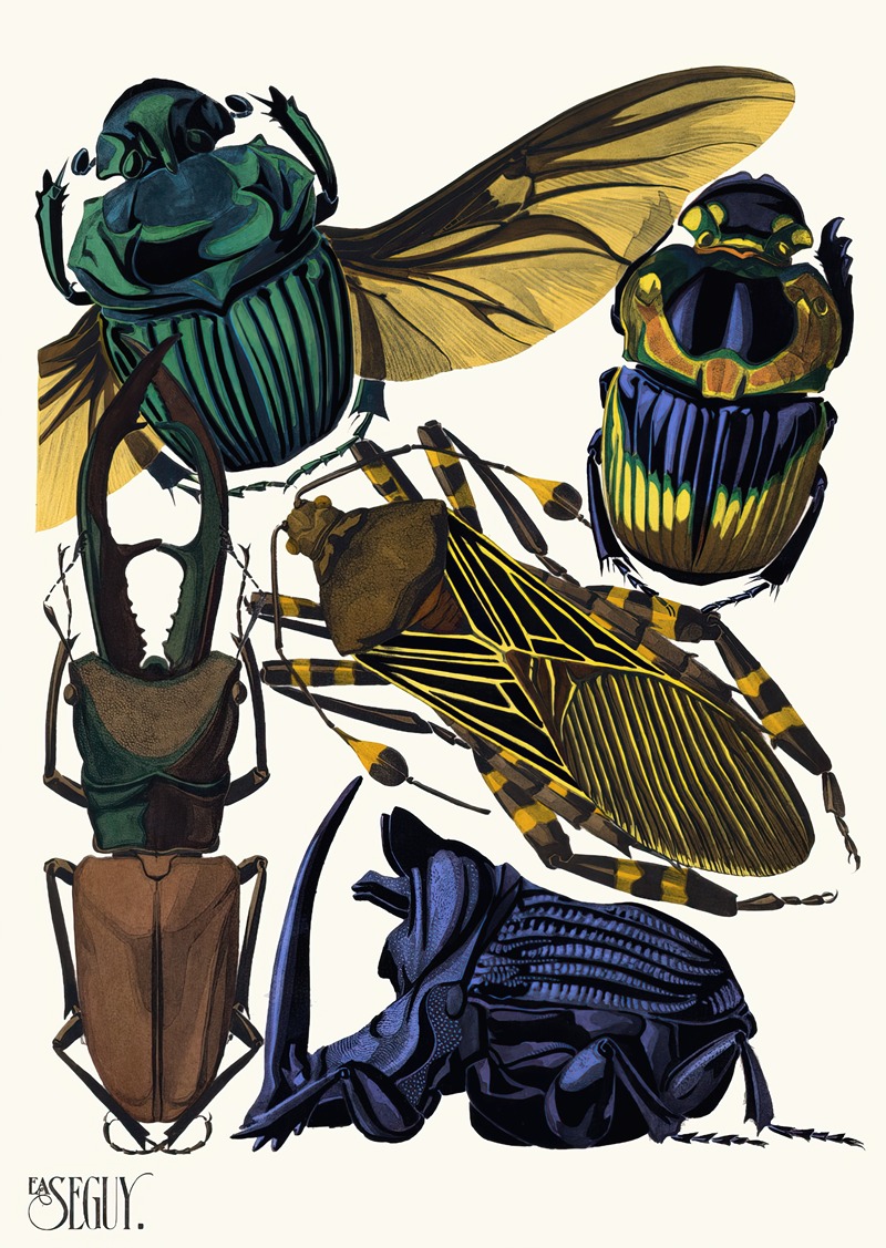 Emile-Allain Séguy - Insectes Pl.07