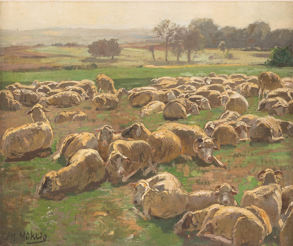 Hugo Mühlig - Sheep