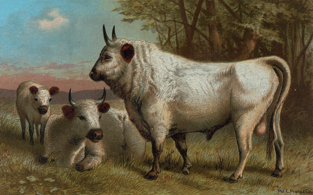 John George Wood - Chillingham Cattle.