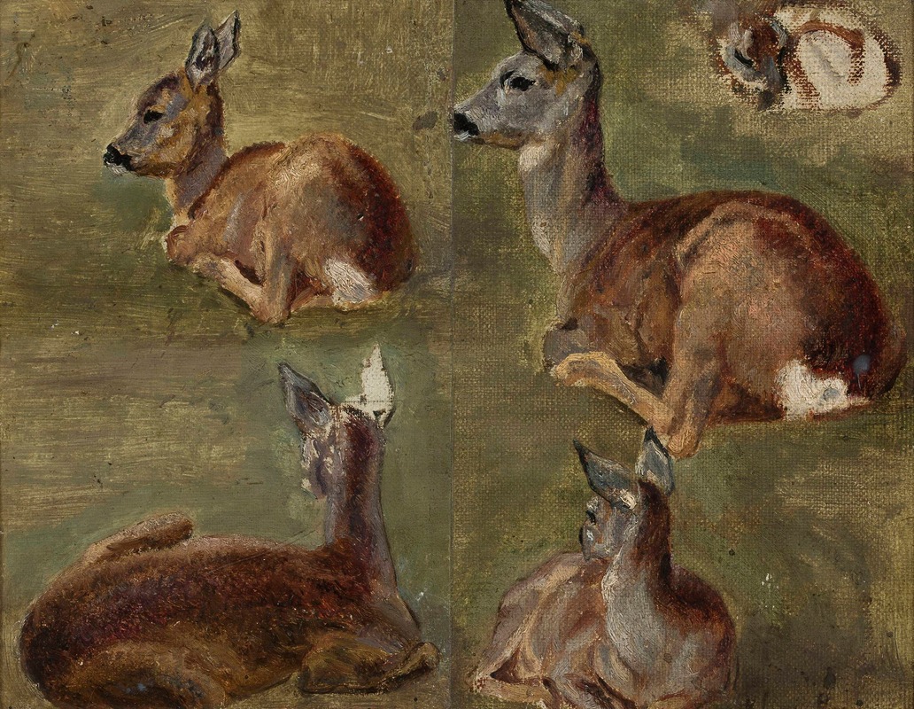 Maria Klass-Kazanowska - Sketches of fawns