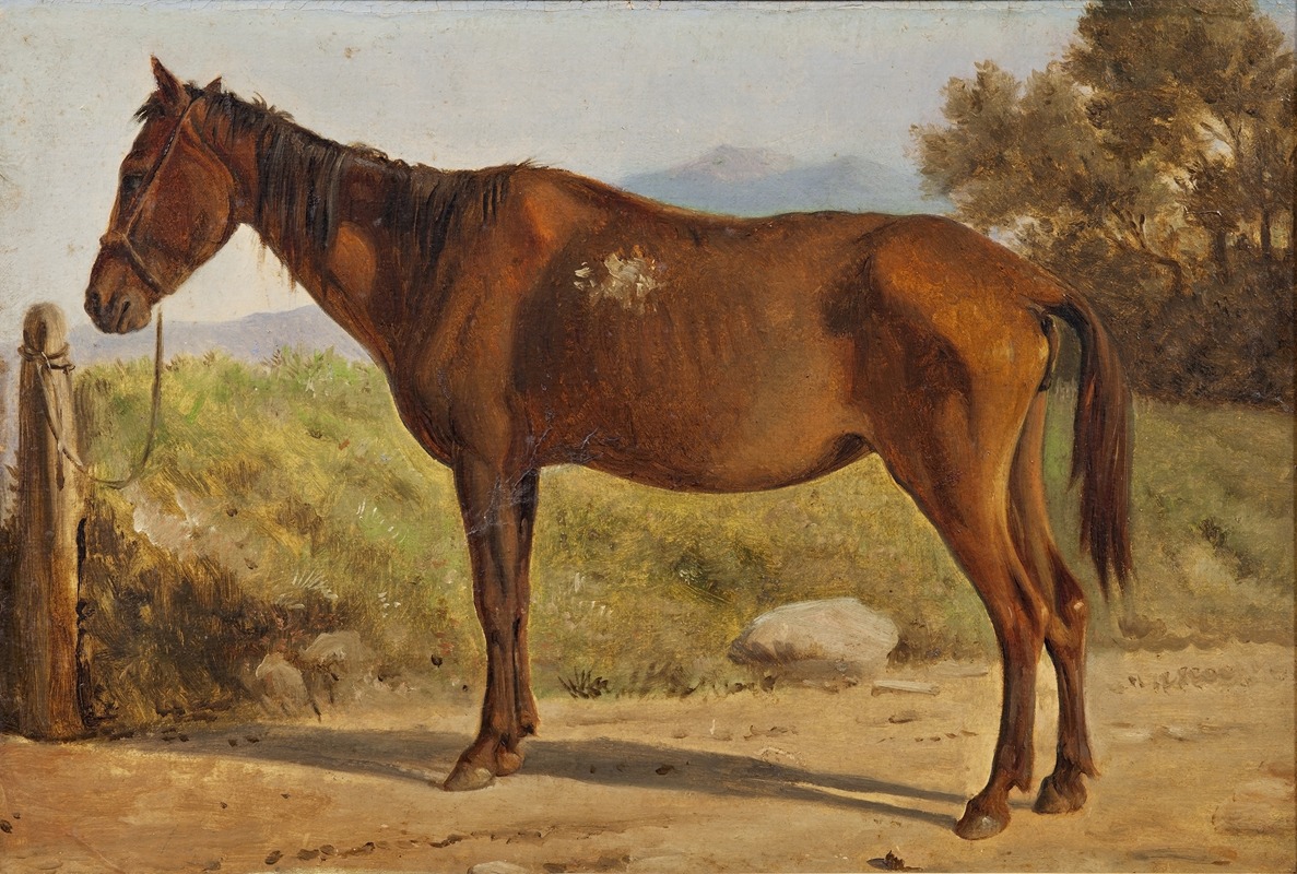 Wilhelm Marstrand - Rosinante (Study of an old standing horse)