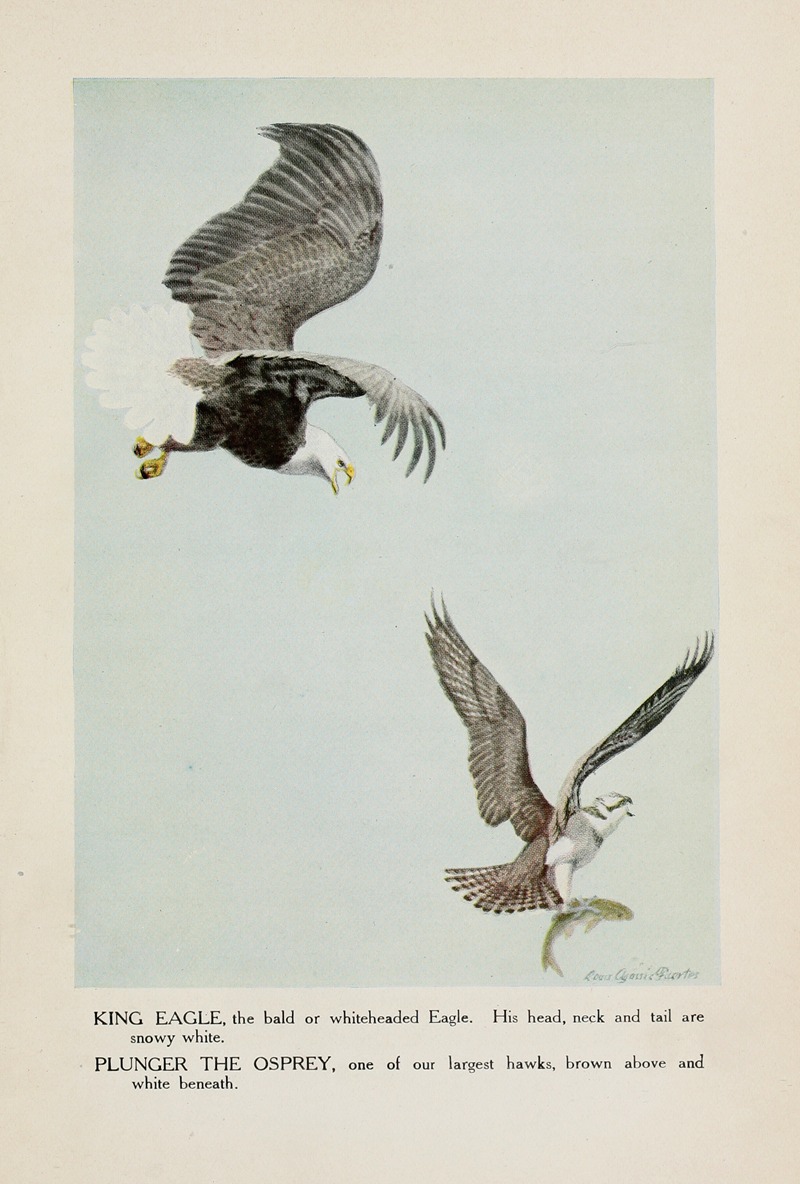 Louis Agassiz Fuertes - King Eagle, Plunger the Osprey