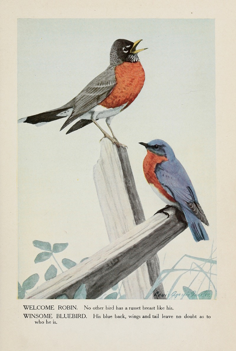 Louis Agassiz Fuertes - Welcome Robin, Winsome Bluebird