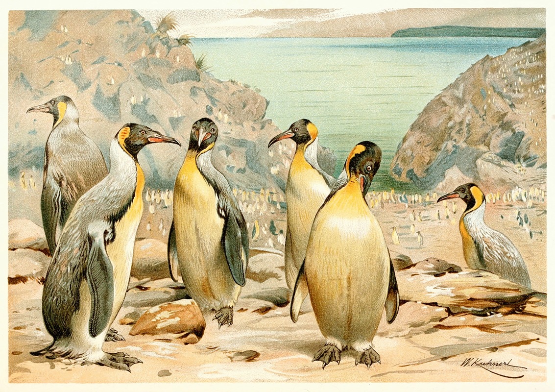 Wilhelm Kuhnert - Giant Penguins