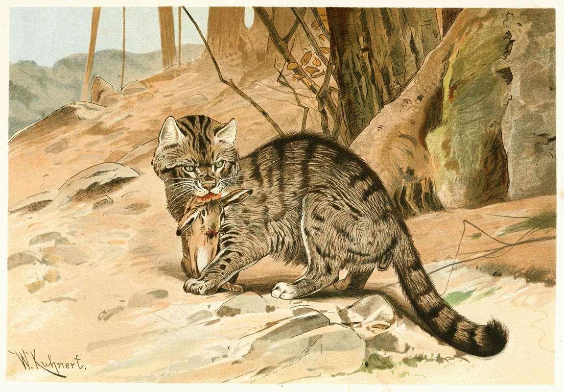 Wilhelm Kuhnert - Wild Cat