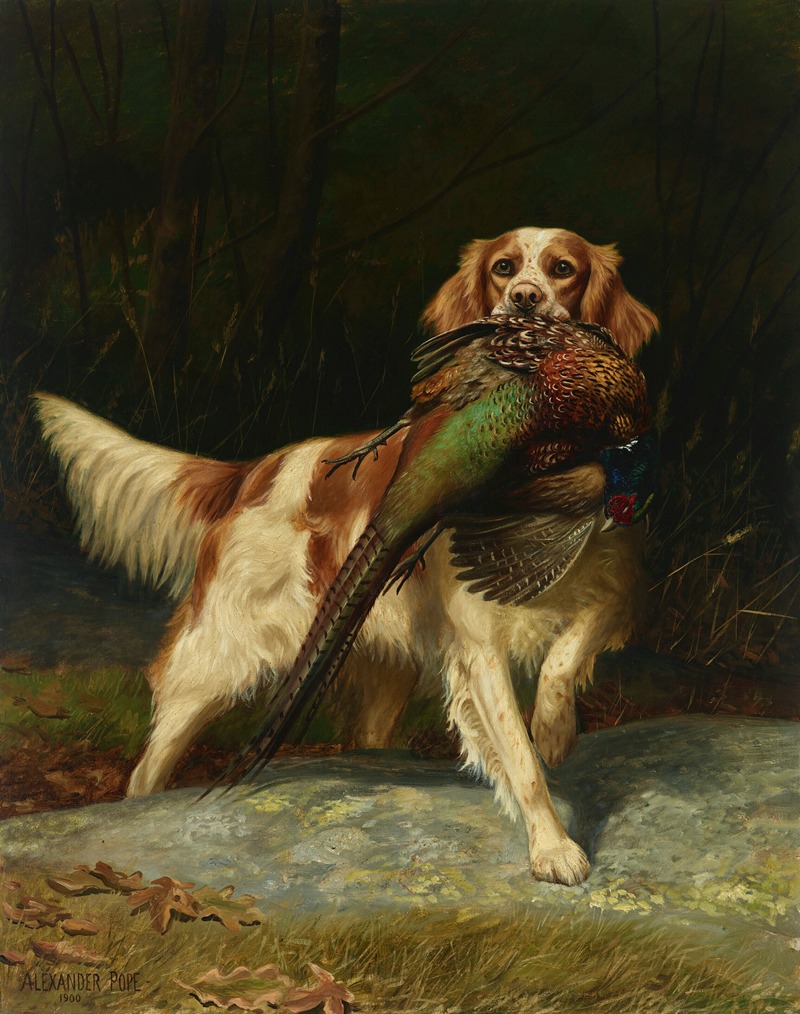 Alexander Pope - Springer Spaniel with Pheasant
