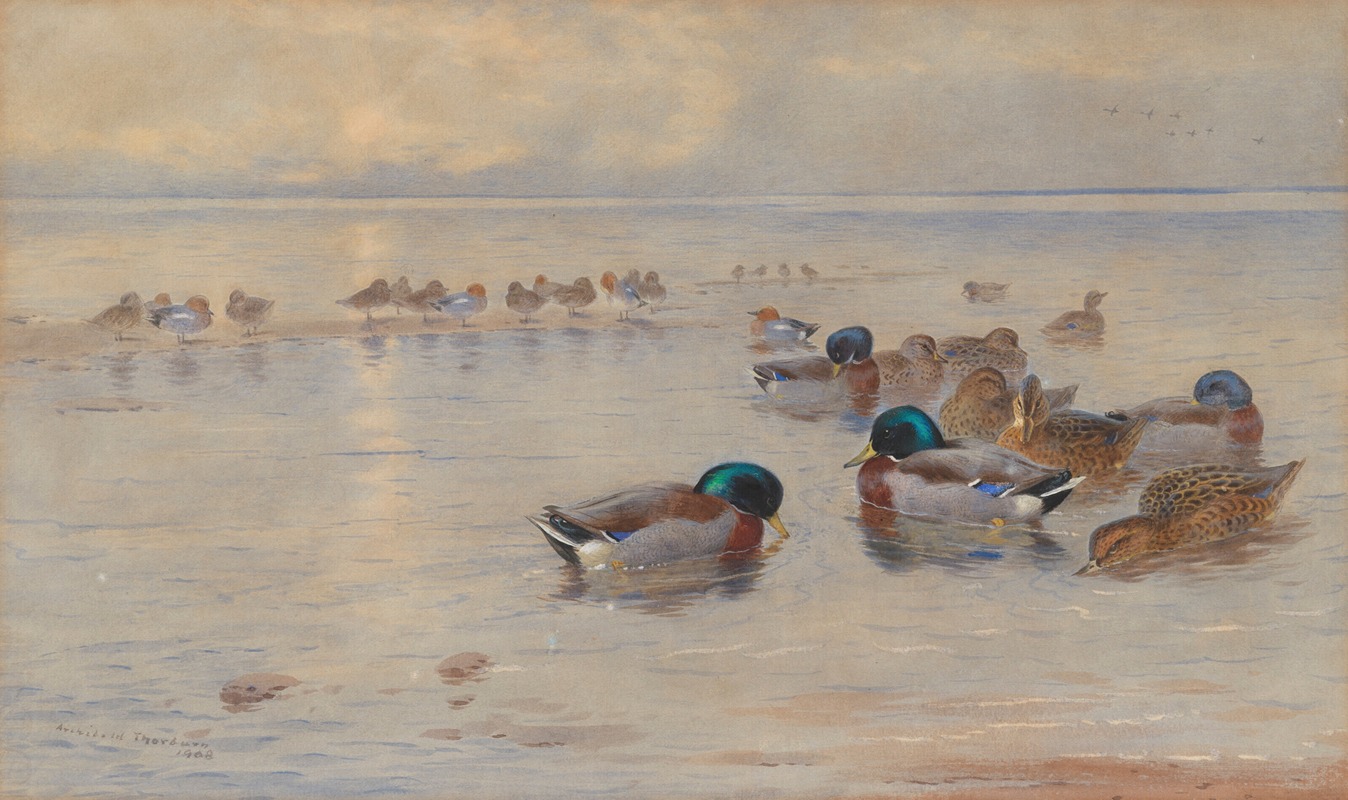 Archibald Thorburn - Mallards on a lake