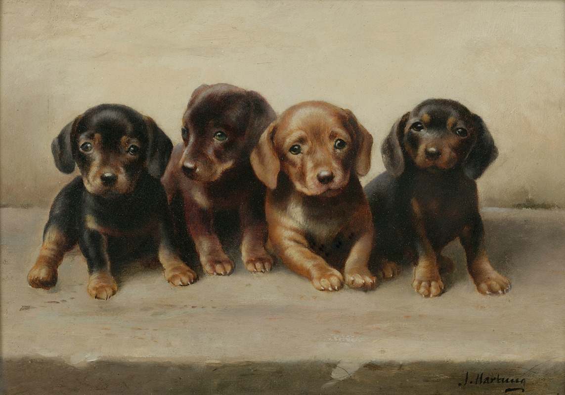 Carl Reichert - Four Dachshund puppies