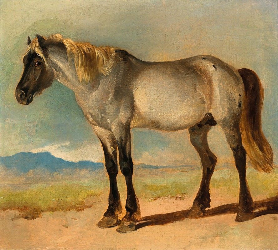 Friedrich Gauermann - A White Horse with a Black Head
