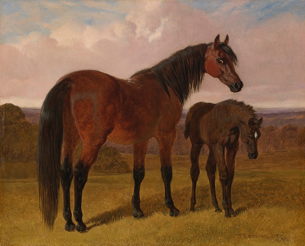 John Frederick Herring Snr. - A mare and foal in a landscape