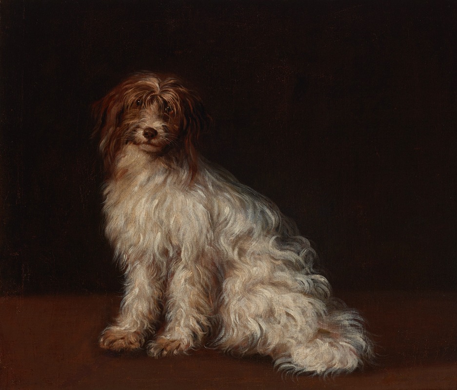 Richard Cosway - A long-haired terrier