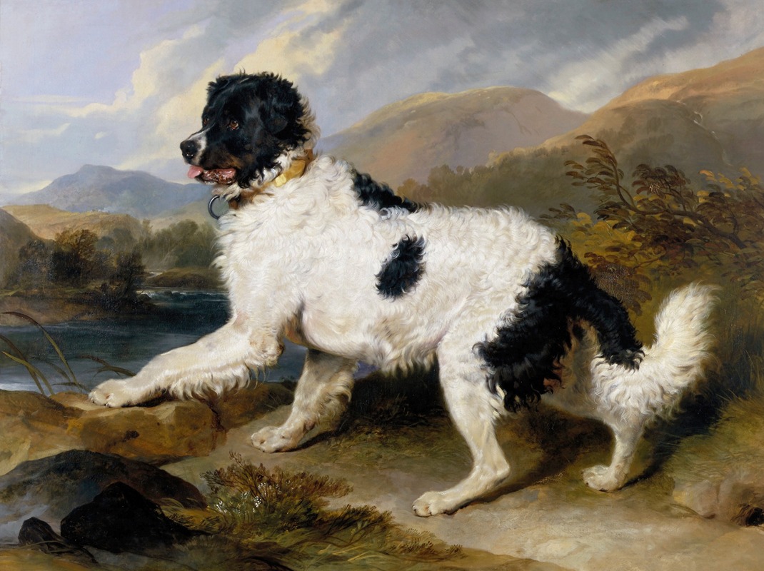 Sir Edwin Henry Landseer - Lion; A Newfoundland Dog