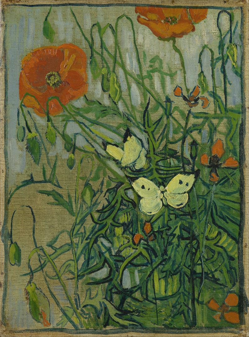 Vincent van Gogh - Butterflies and poppies