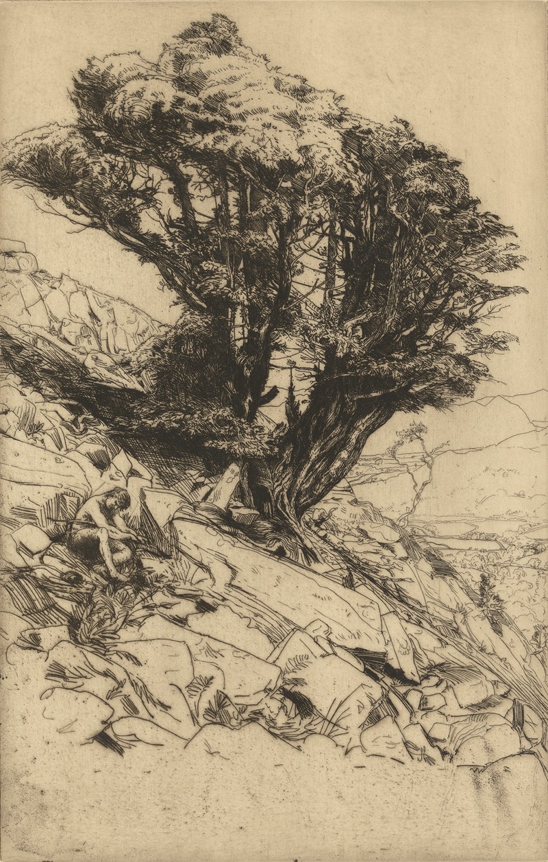 Charles Holyroyd - A Yew Tree on Glaramara