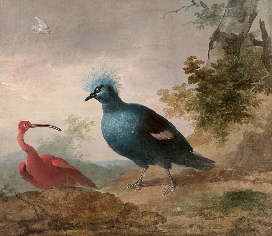 Aert Schouman - Pintade de Numidie et caïque à tête noire et Ibis rouge et goura couronné