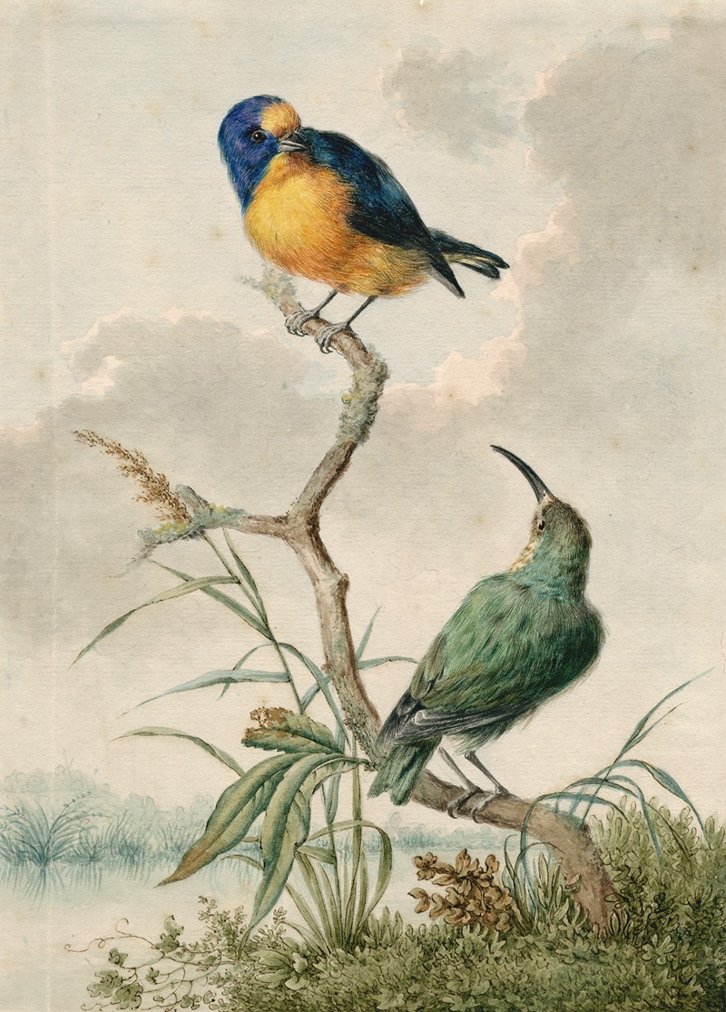 Barend Hendrik Thier - Two tropical birds 2