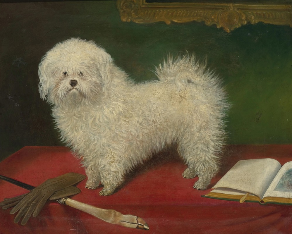English School - A Maltese on a Red Table Cloth