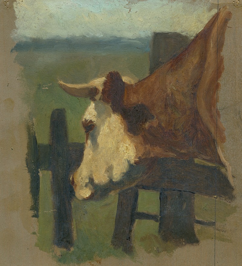 Floris Verster - Cow (head and neck) in a pasture