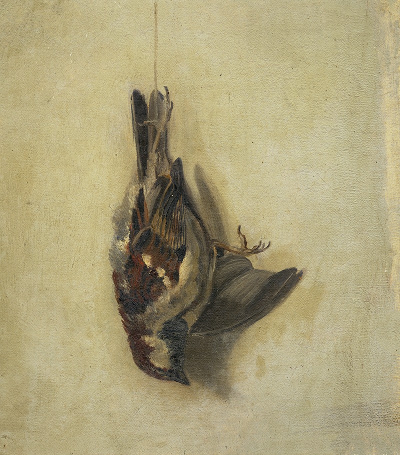 Floris Verster - Dead sparrow on a string