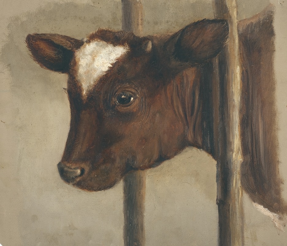 Floris Verster - Head of a calf in a cowshed