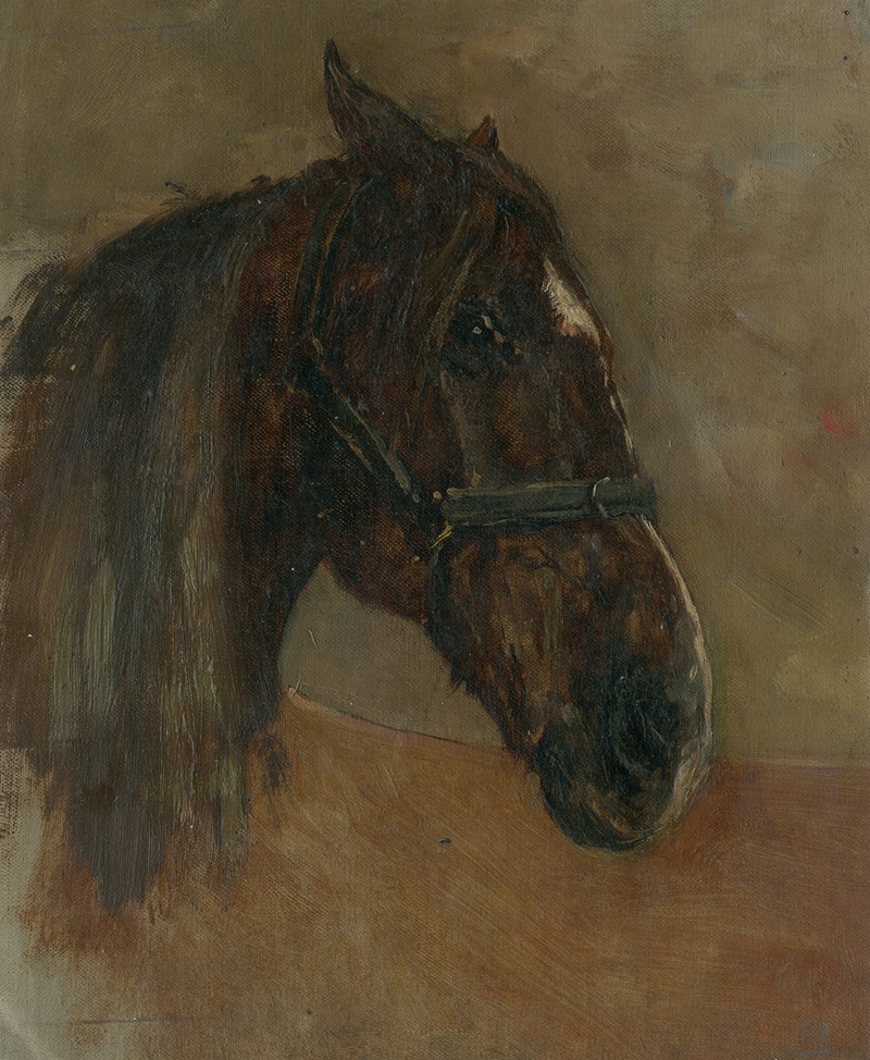 Floris Verster - Head of a horse, with halter