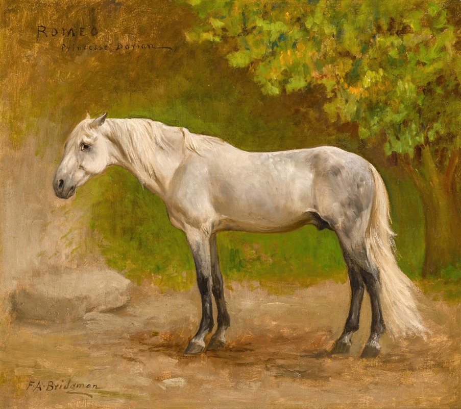 Frederick Arthur Bridgman - Romeo, a Stallion in a Landscape