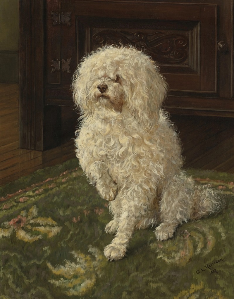 George L. Harrison - Poodle on a Green Carpet