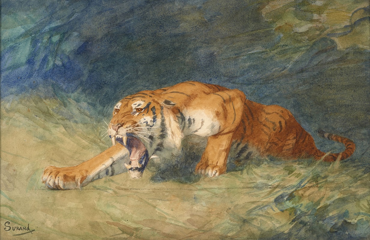 Gustave Surand - Tigre rugissant