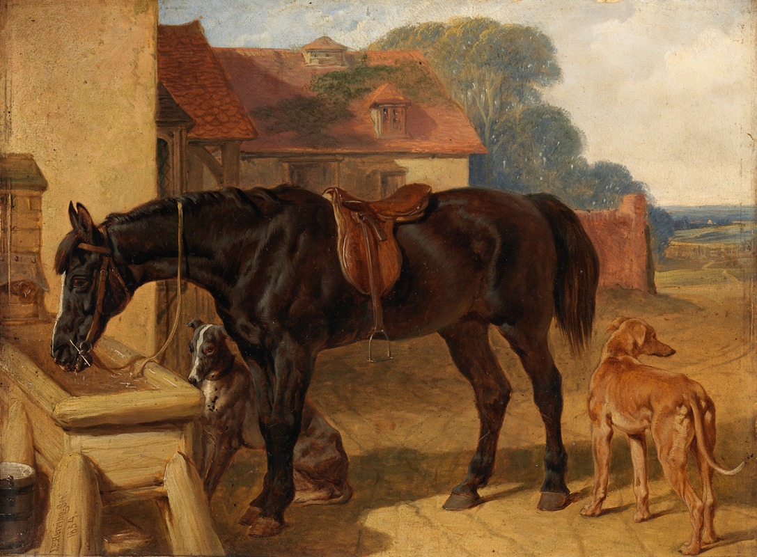 John Frederick Herring Snr. - A Horse Drinking