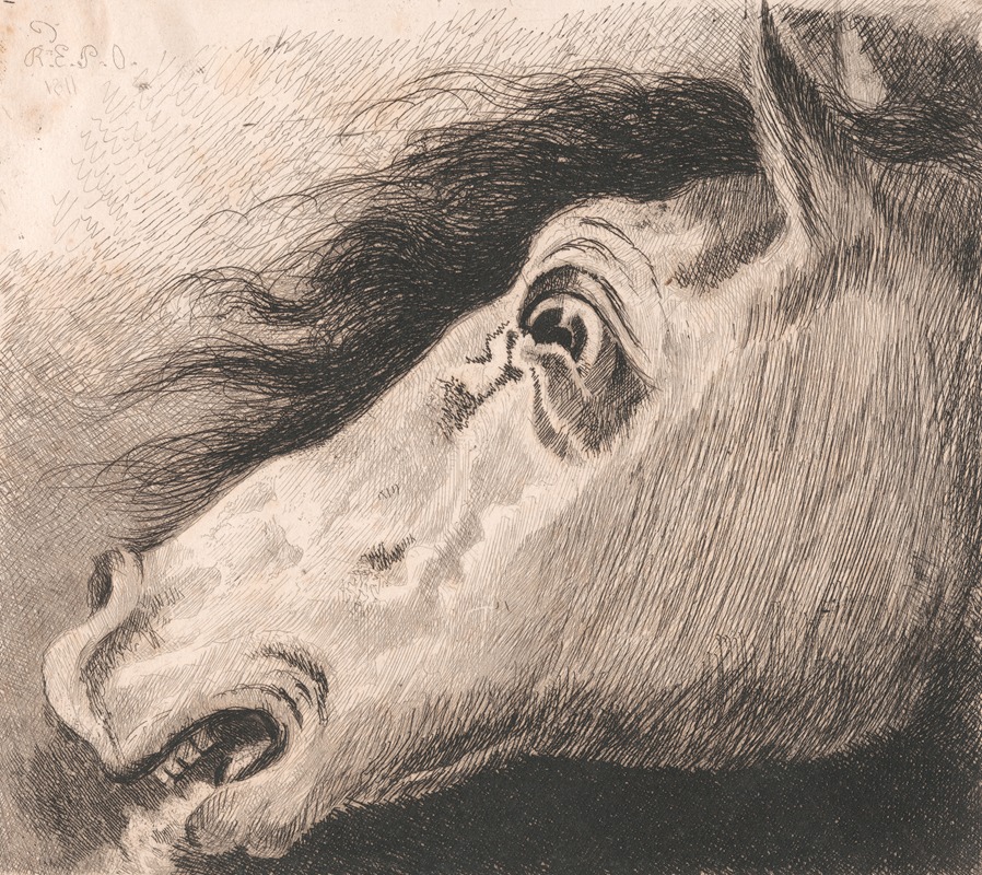 Edward Pryce Owen - Head of a Horse