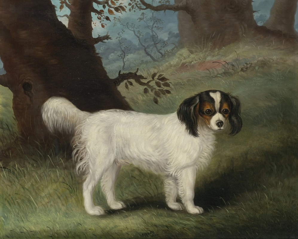 Samuel Spode - King Charles Spaniel