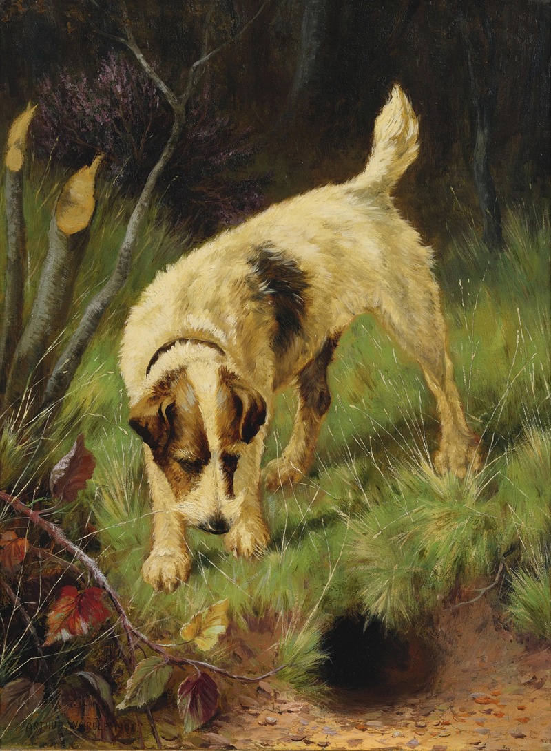 Arthur Wardle - Terrier