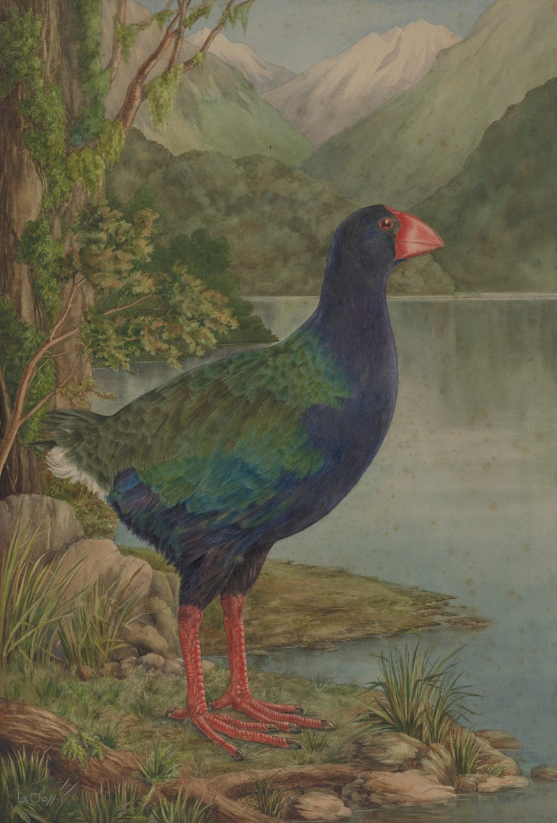 Lily Attey Daff - Untitled (Takahe)