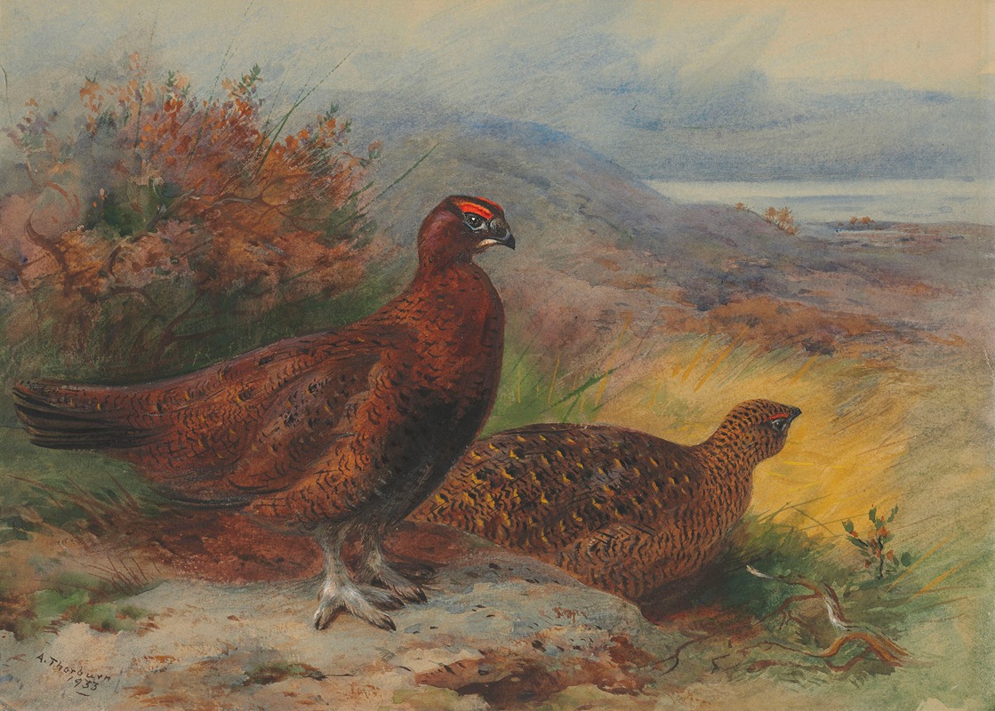 Archibald Thorburn - A pair of red grouse in a landscape