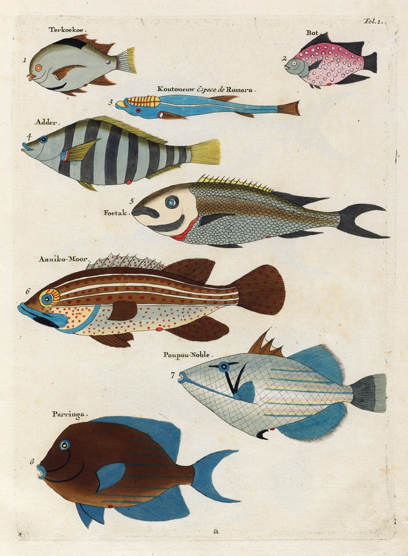 Louis Renard - Poissons, ecrevisses et crabes, de diverses couleurs et figures extraordinaires.. Pl.001