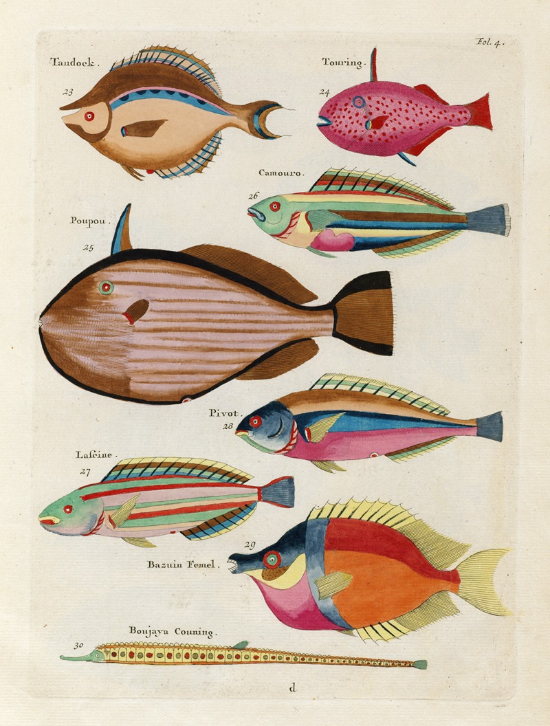 Louis Renard - Poissons, ecrevisses et crabes, de diverses couleurs et figures extraordinaires.. Pl.004