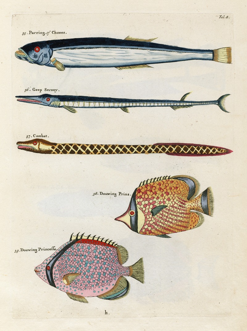 Louis Renard - Poissons, ecrevisses et crabes, de diverses couleurs et figures extraordinaires.. Pl.008