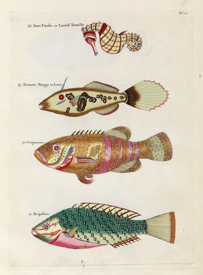 Louis Renard - Poissons, ecrevisses et crabes, de diverses couleurs et figures extraordinaires.. Pl.011