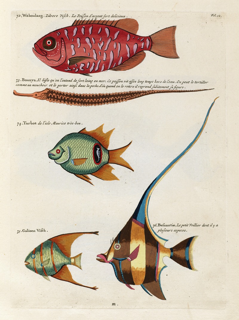 Louis Renard - Poissons, ecrevisses et crabes, de diverses couleurs et figures extraordinaires.. Pl.012