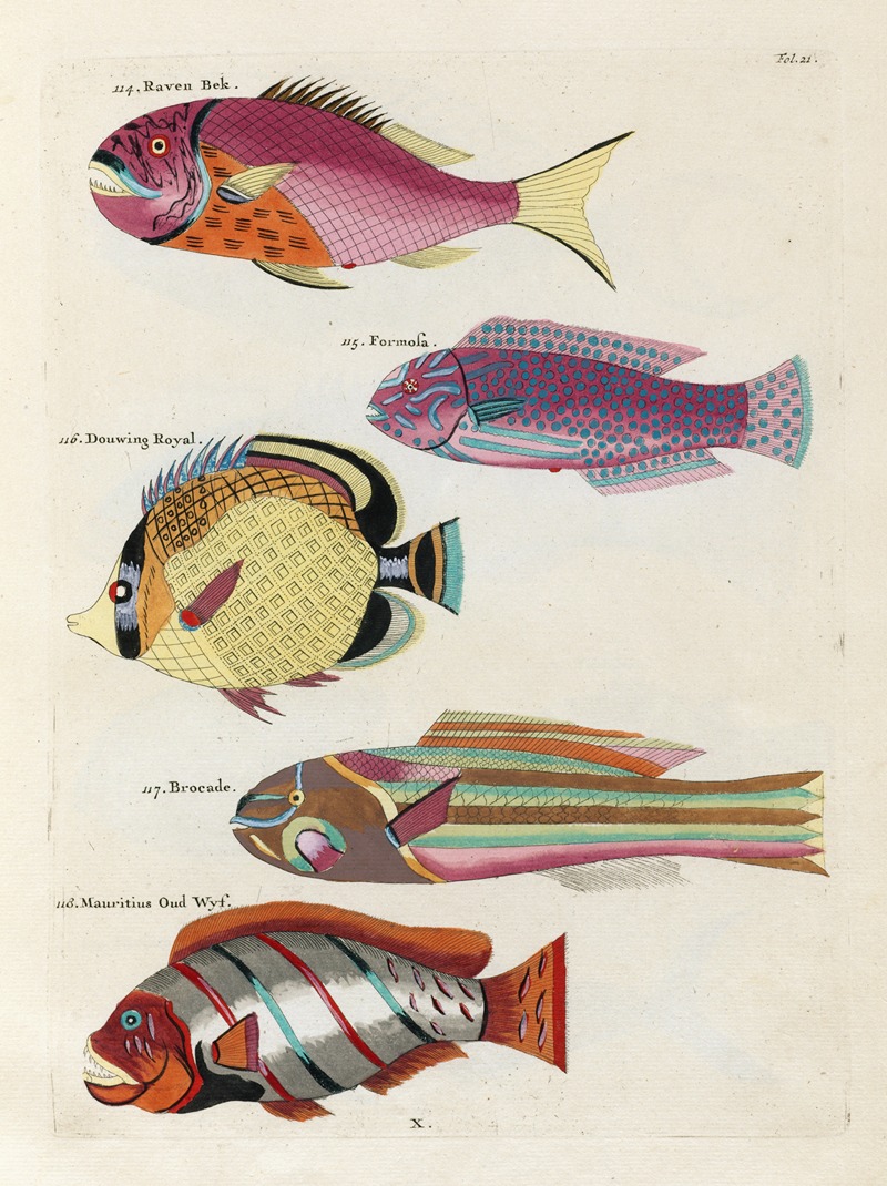 Louis Renard - Poissons, ecrevisses et crabes, de diverses couleurs et figures extraordinaires.. Pl.021