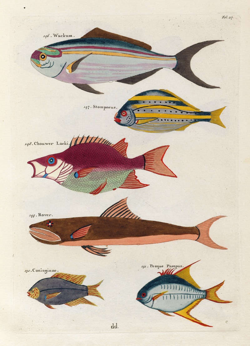 Louis Renard - Poissons, ecrevisses et crabes, de diverses couleurs et figures extraordinaires.. Pl.027