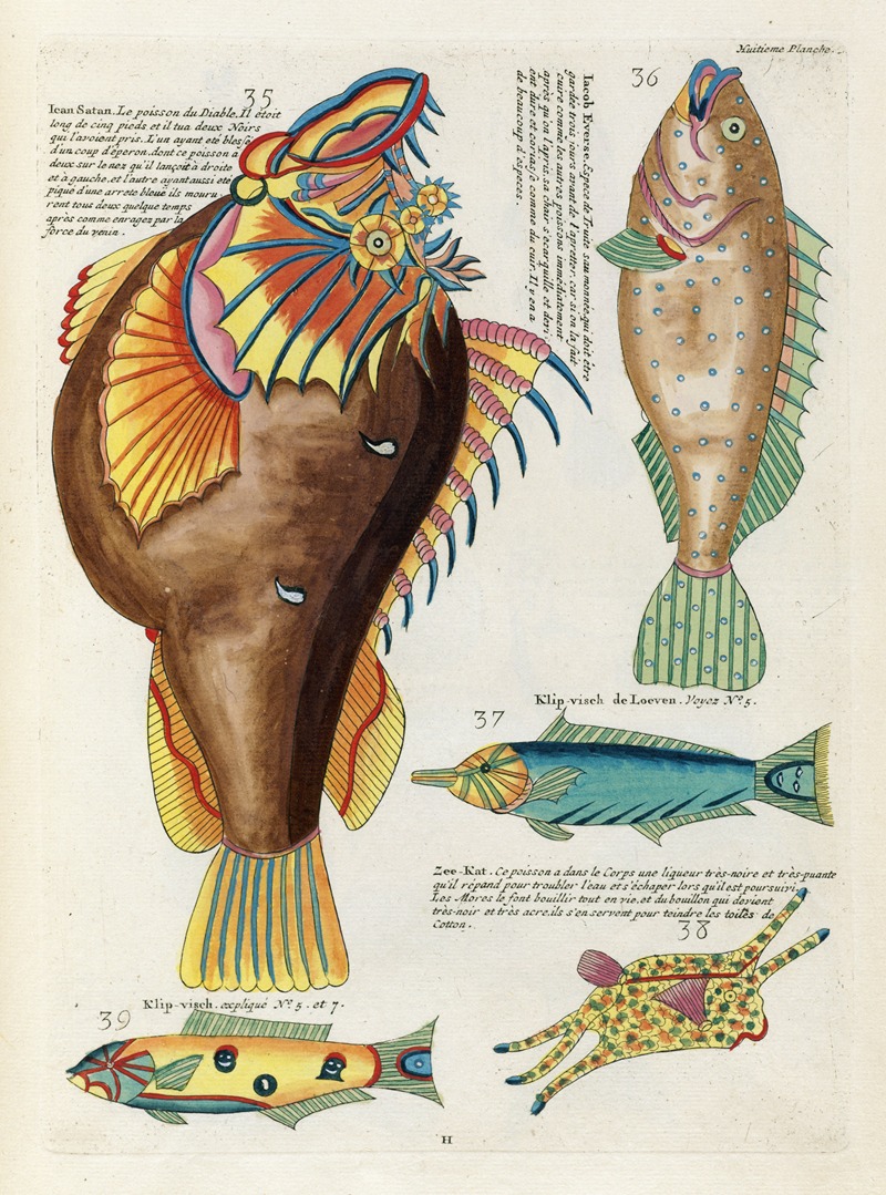 Louis Renard - Poissons, ecrevisses et crabes, de diverses couleurs et figures extraordinaires.. Pl.051