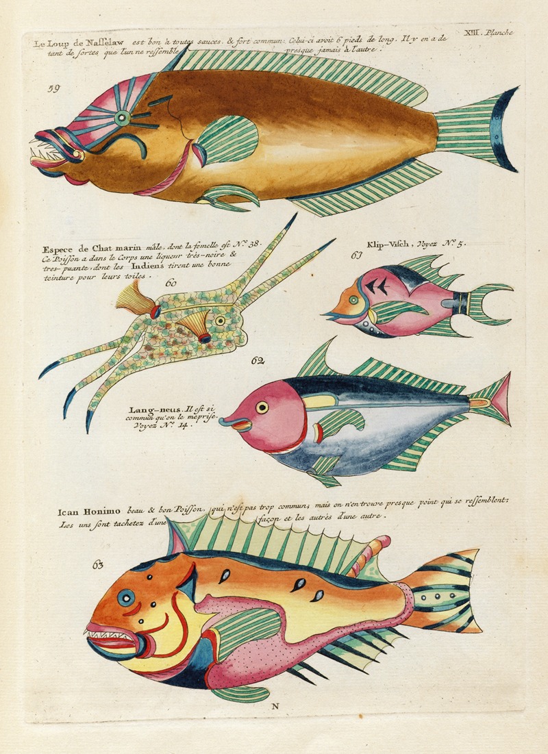 Louis Renard - Poissons, ecrevisses et crabes, de diverses couleurs et figures extraordinaires.. Pl.056