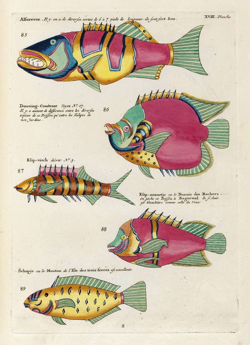 Louis Renard - Poissons, ecrevisses et crabes, de diverses couleurs et figures extraordinaires.. Pl.061