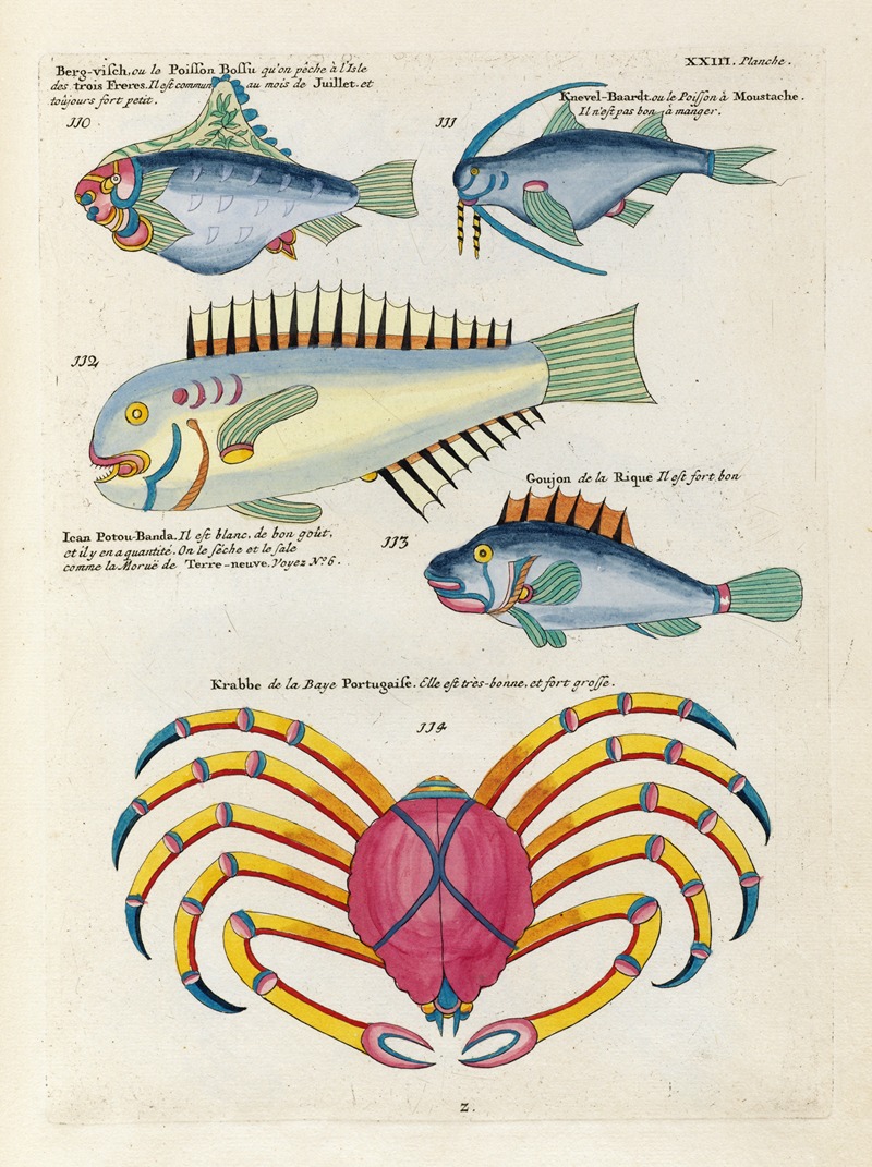 Louis Renard - Poissons, ecrevisses et crabes, de diverses couleurs et figures extraordinaires.. Pl.066