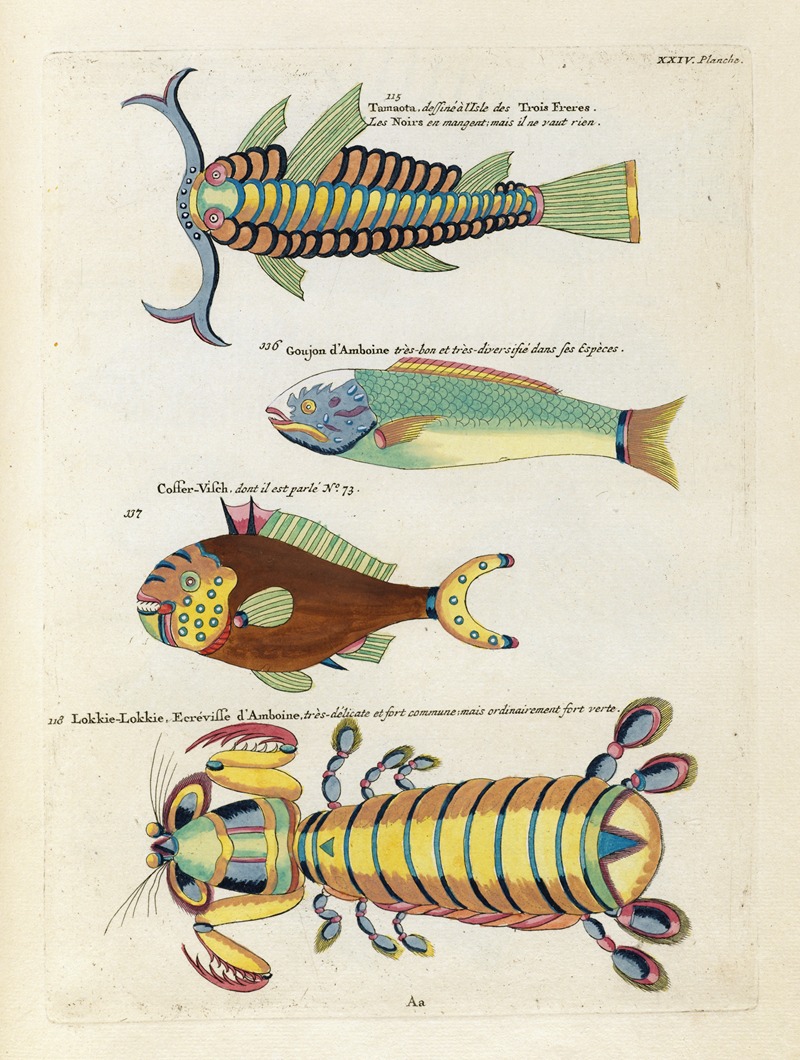 Louis Renard - Poissons, ecrevisses et crabes, de diverses couleurs et figures extraordinaires.. Pl.067