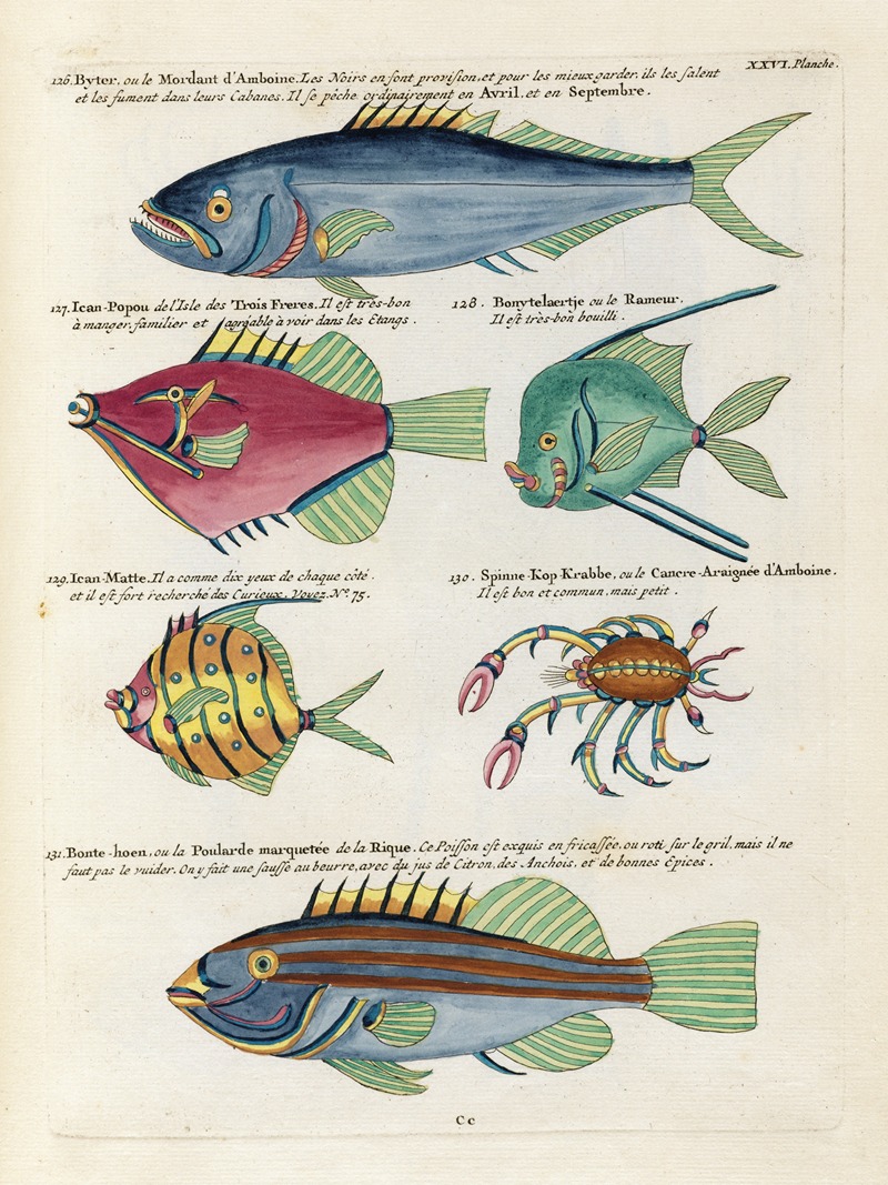 Louis Renard - Poissons, ecrevisses et crabes, de diverses couleurs et figures extraordinaires.. Pl.069