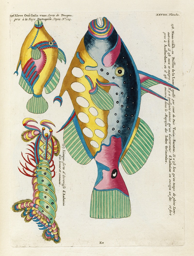 Louis Renard - Poissons, ecrevisses et crabes, de diverses couleurs et figures extraordinaires.. Pl.071