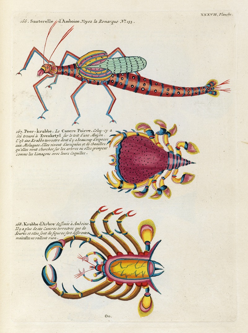 Louis Renard - Poissons, ecrevisses et crabes, de diverses couleurs et figures extraordinaires.. Pl.080